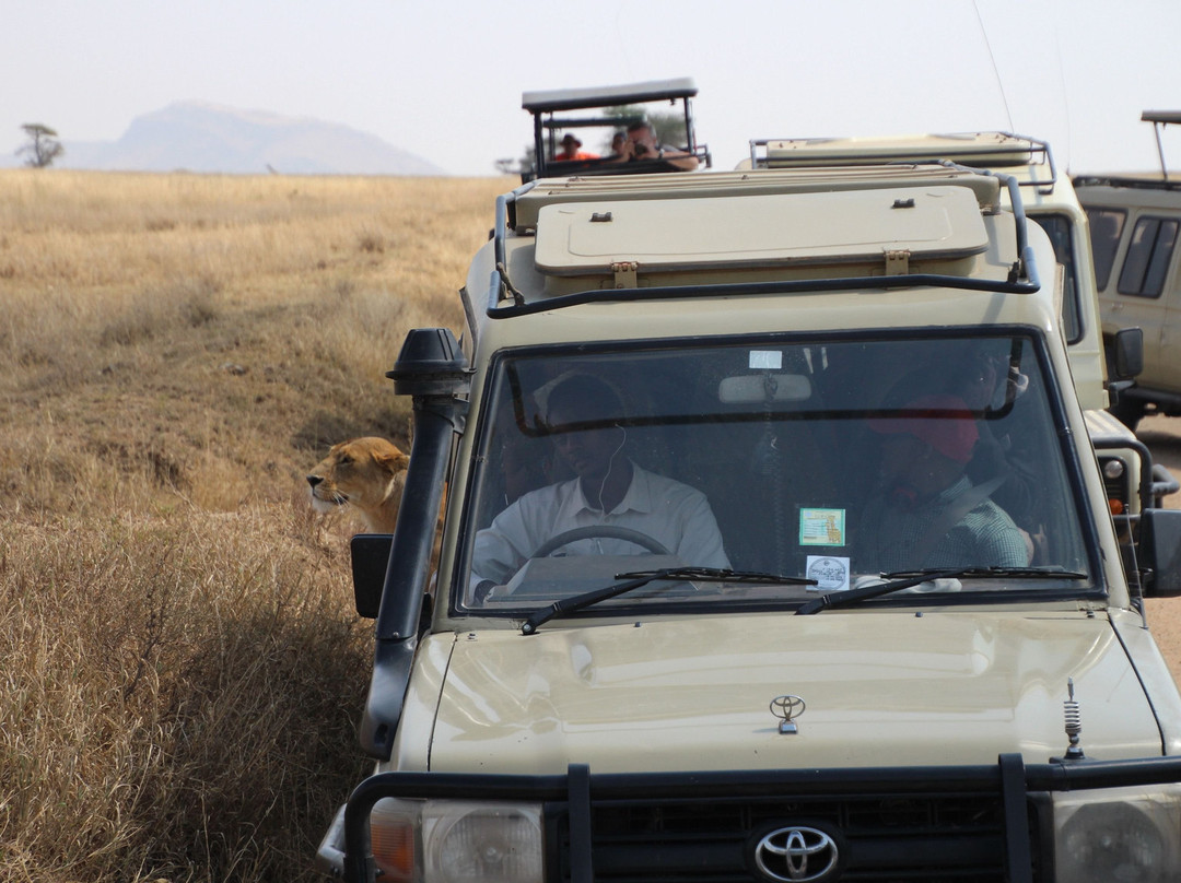 Le Safi Adventures-莫西必去景点