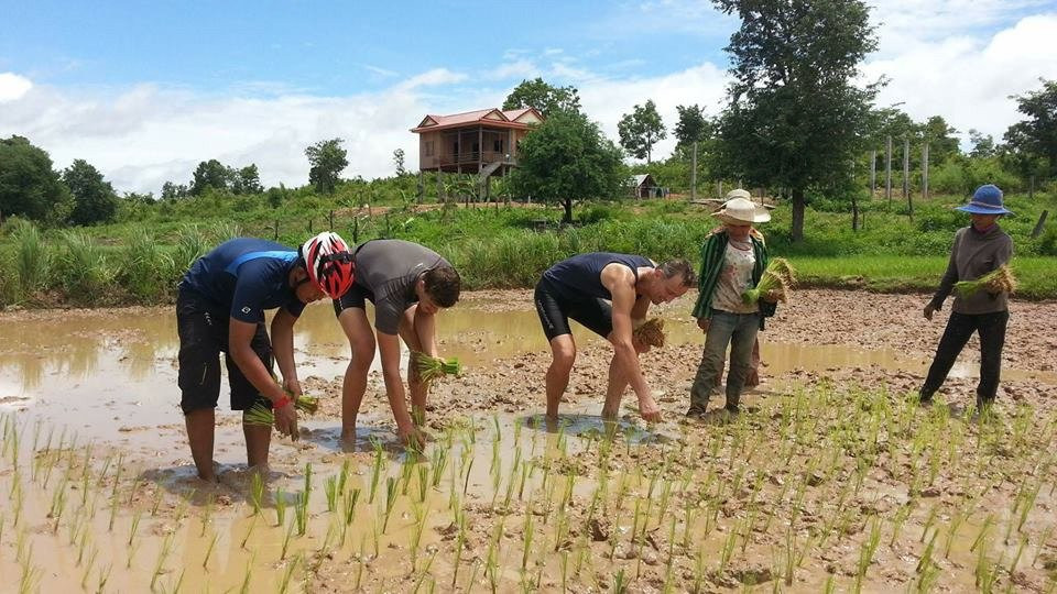 Bt Phnom Penh Day Tours景点图片