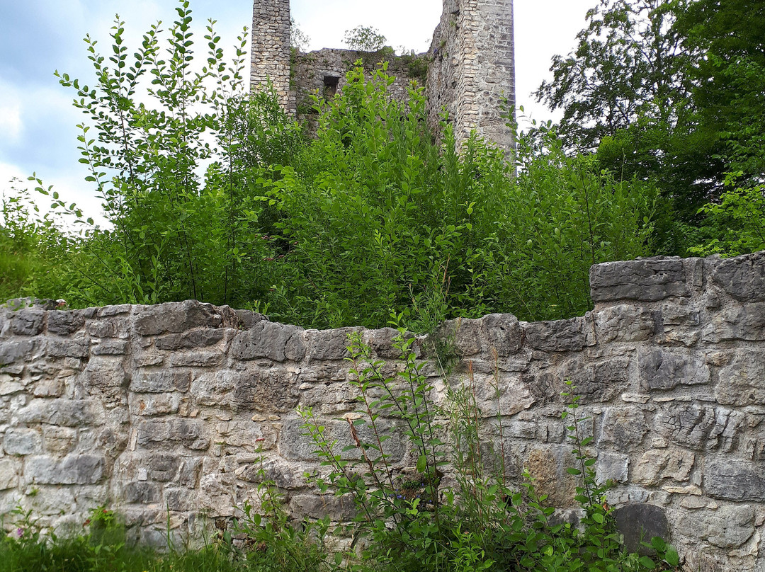 Burg Vilsegg景点图片