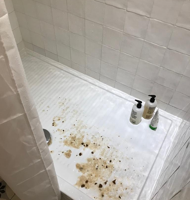 Hôtel Maison Volver主图