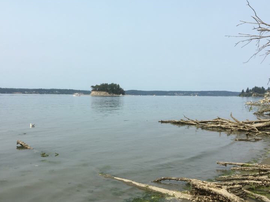 Kopachuck State Park景点图片