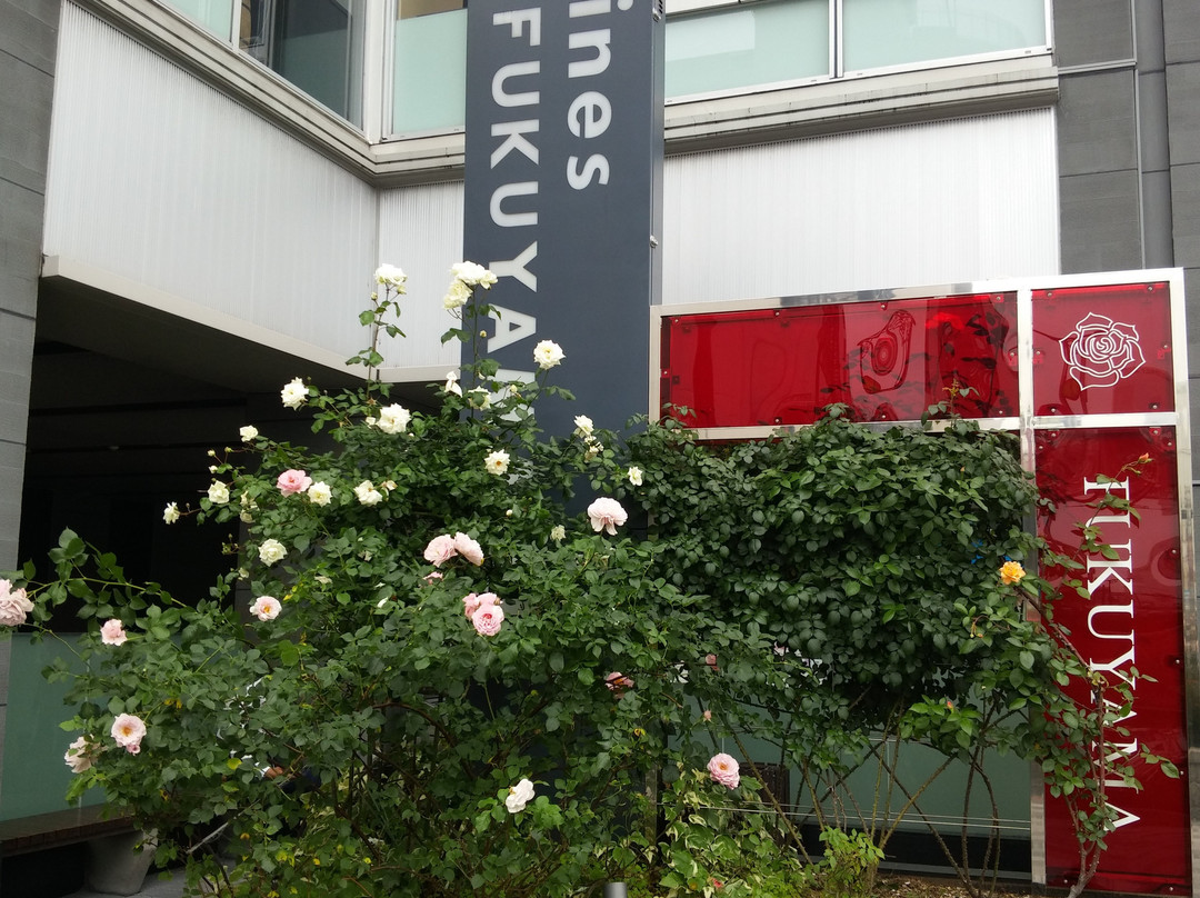 Ines Fukuyama-福山市必去景点