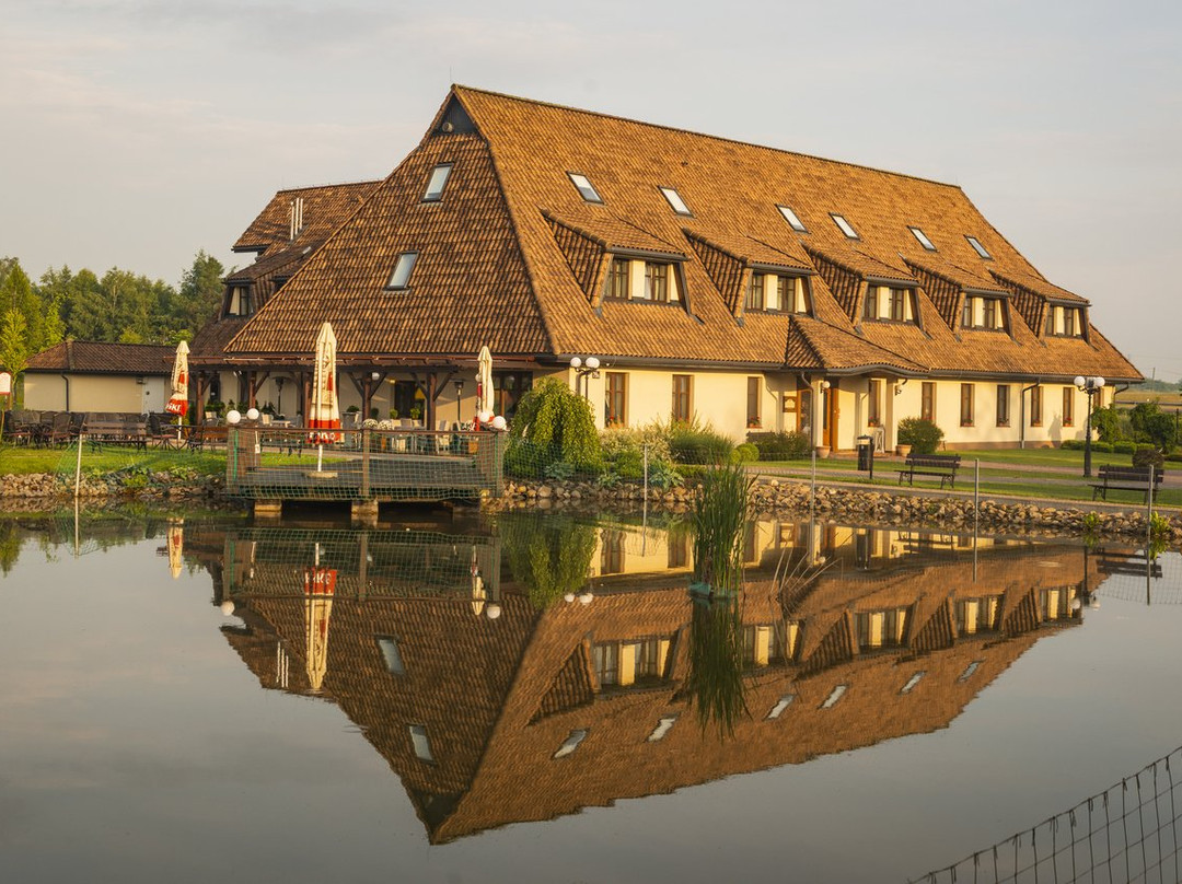 Platan Hotel - Restaurant主图