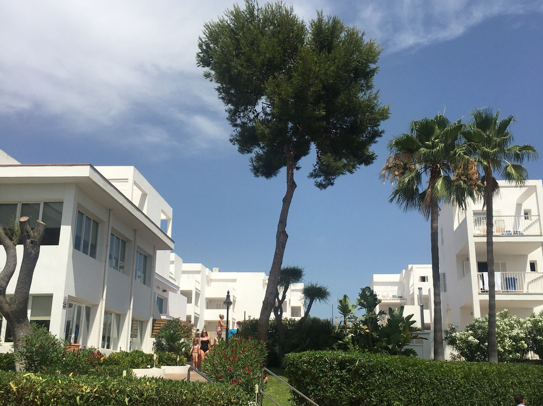 MarSenses Ferrera Blanca Hotel Family主图