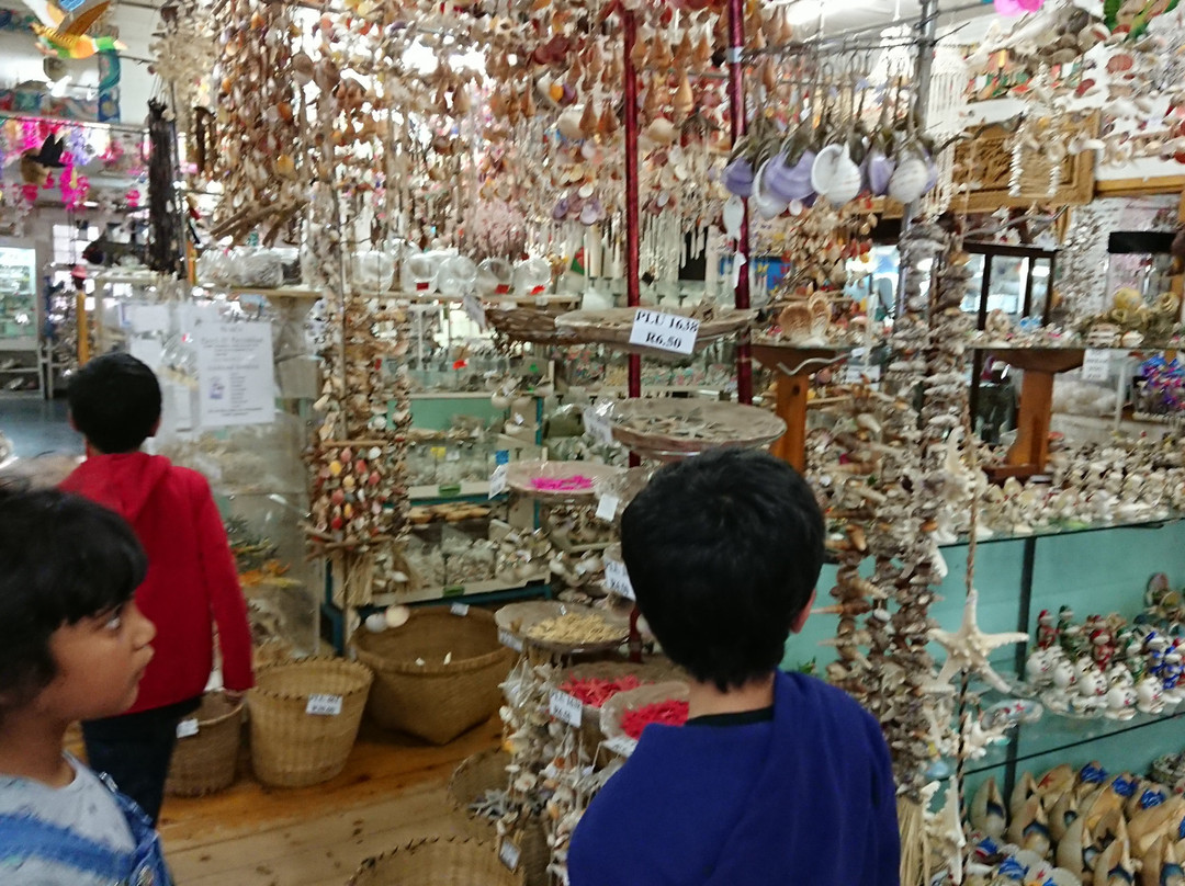 The Shell Shop景点图片