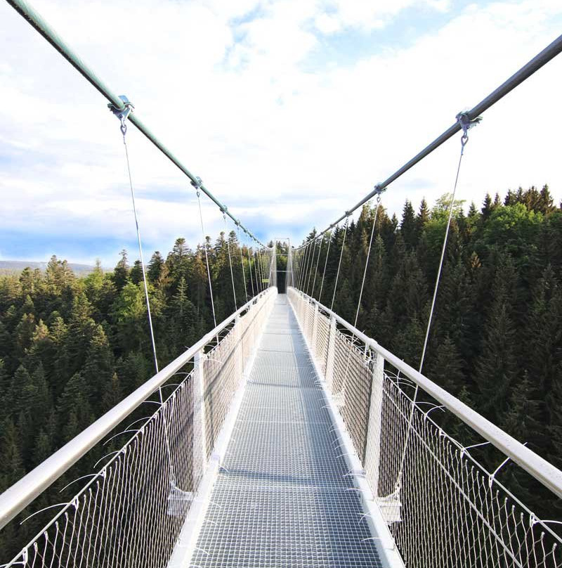 WildLine Hängebrücke景点图片