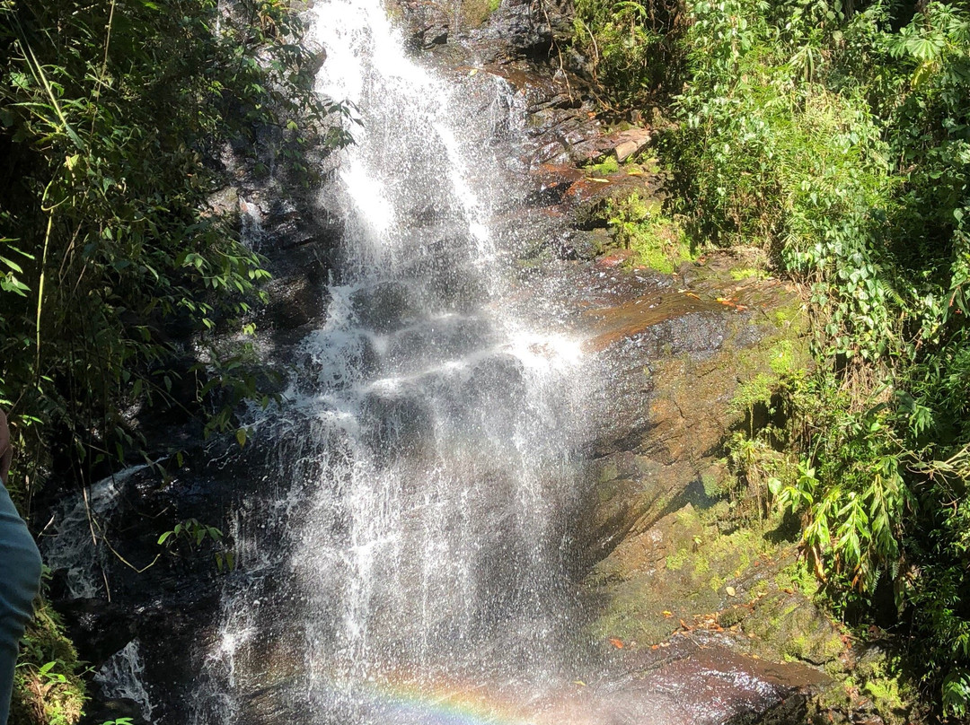 Bride's Veil Waterfall景点图片