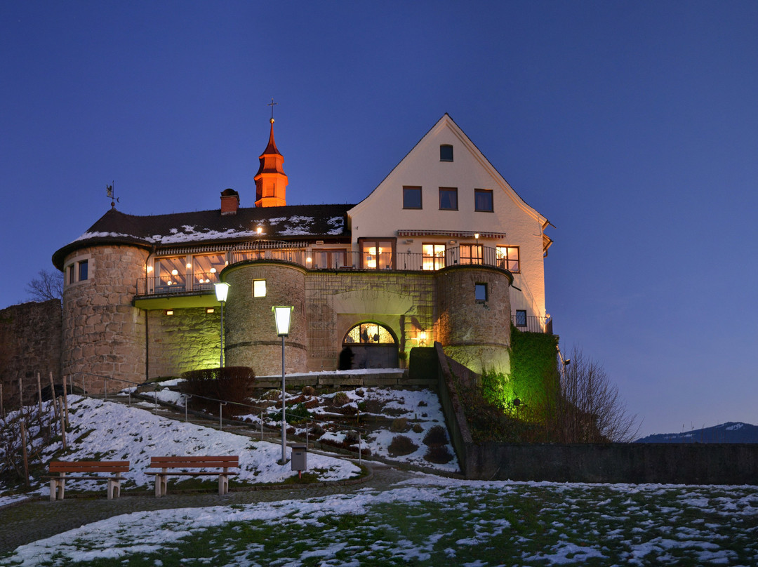 Burgruine Hohen Bregenz, Gebhardsberg景点图片