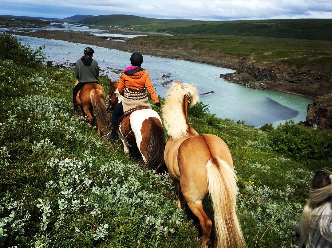 Lava Horses-胡萨维克必去景点