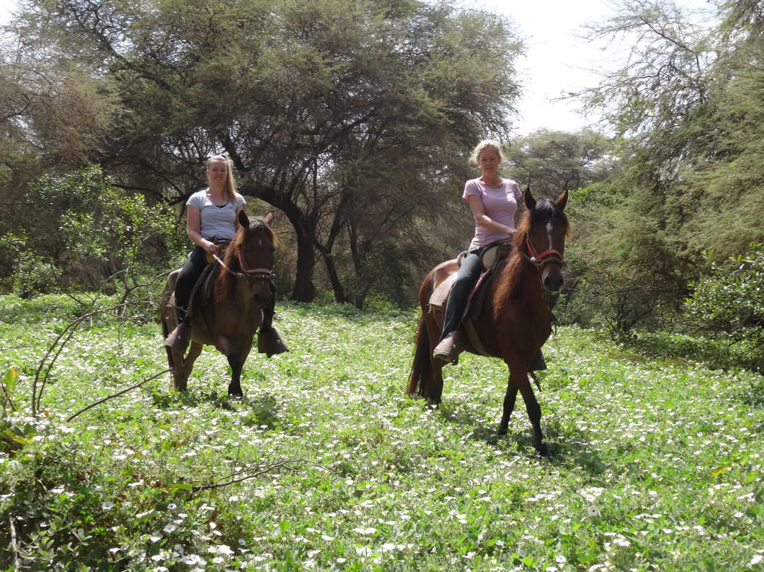 Rancho Santana horseback riding Peru-帕科拉必去景点