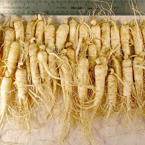 Hsu Ginseng Enterprises景点图片