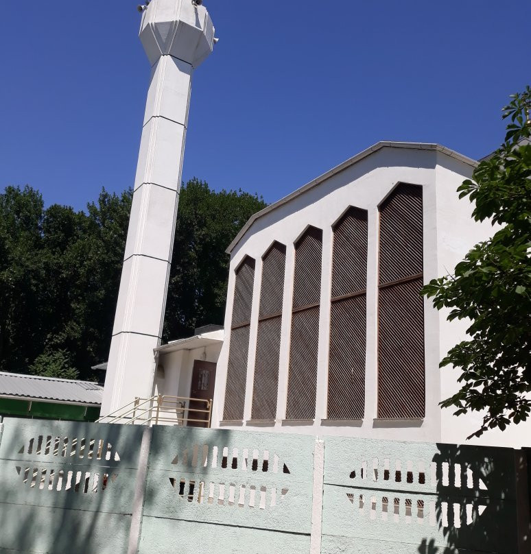 Muslim Mosque景点图片