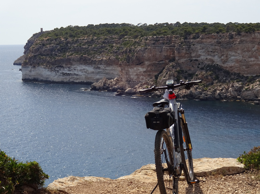 Like eBike景点图片