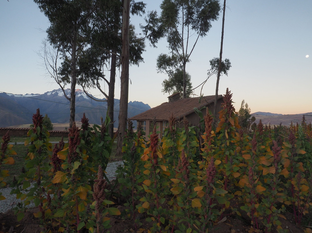 Villas De Maras主图