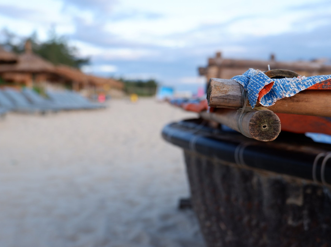 SeaWeed Homestay Hoi An主图