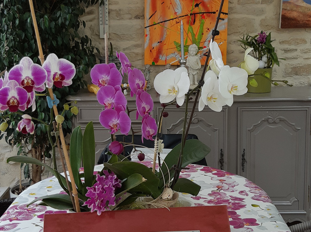 Hambres D'hôtes Les Orchidees