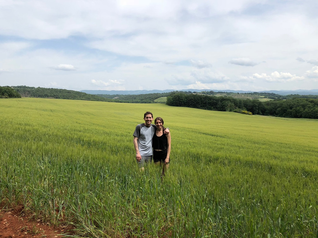 Up and Down the Chianti-锡耶纳必去景点