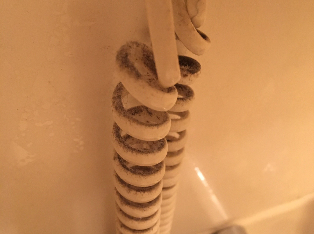 Hotel New Green Plaza主图