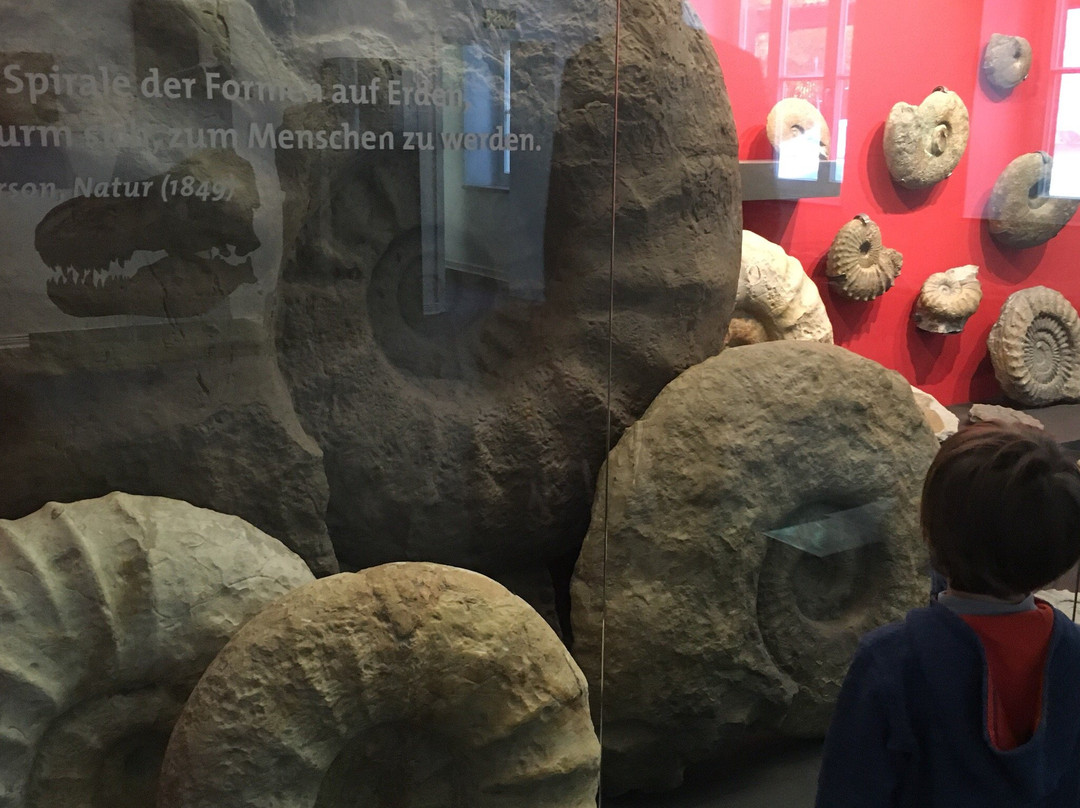 Mineralien Museum-埃森必去景点