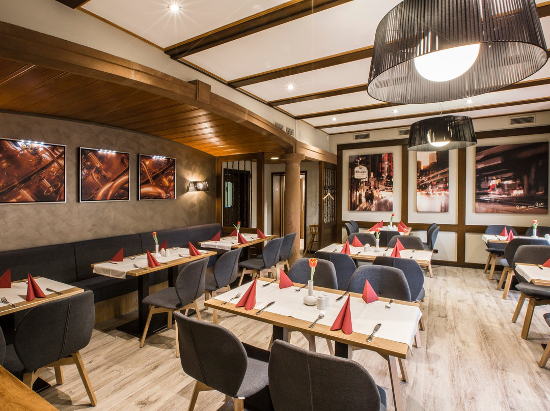 Hotel-Restaurant Louis Mueller主图