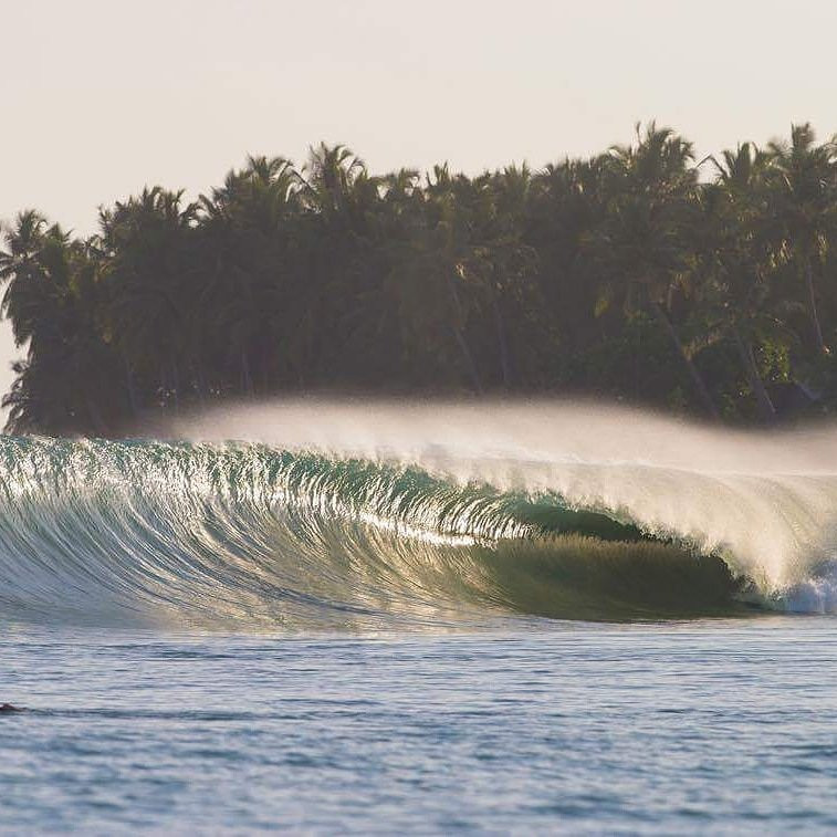 Aloha Surf Camp景点图片
