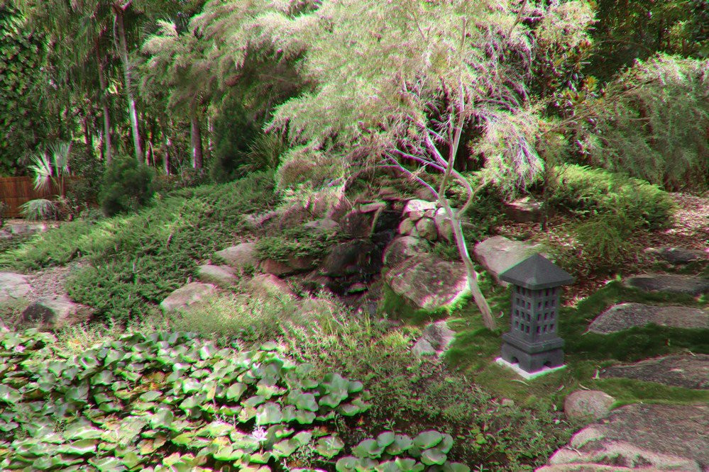 Tondoon Botanic Gardens-Gladstone必去景点