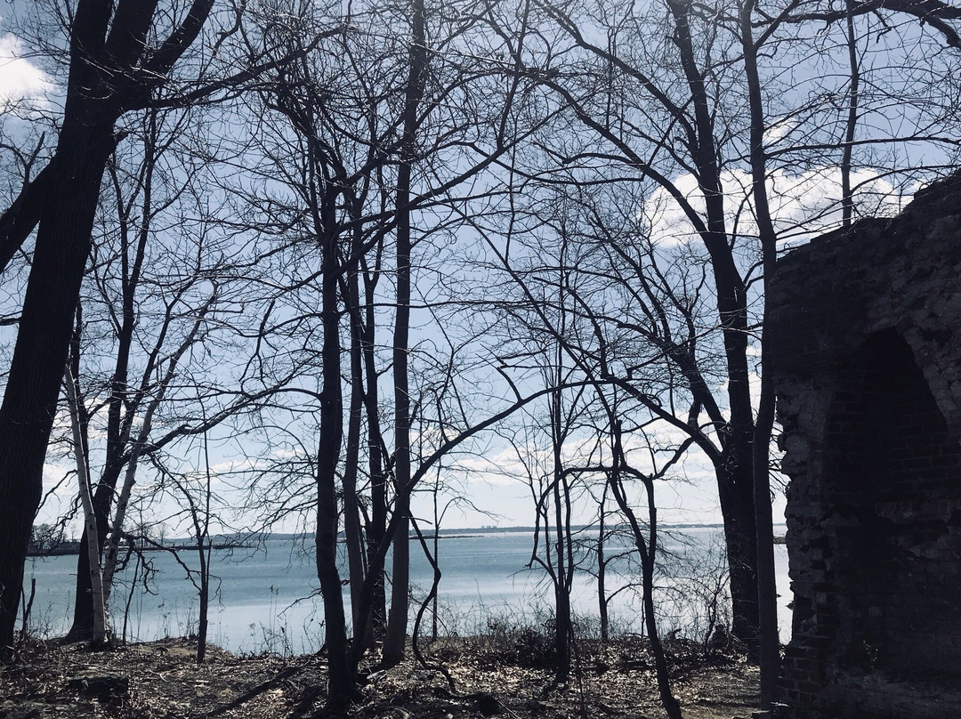 Marshlands Conservancy景点图片