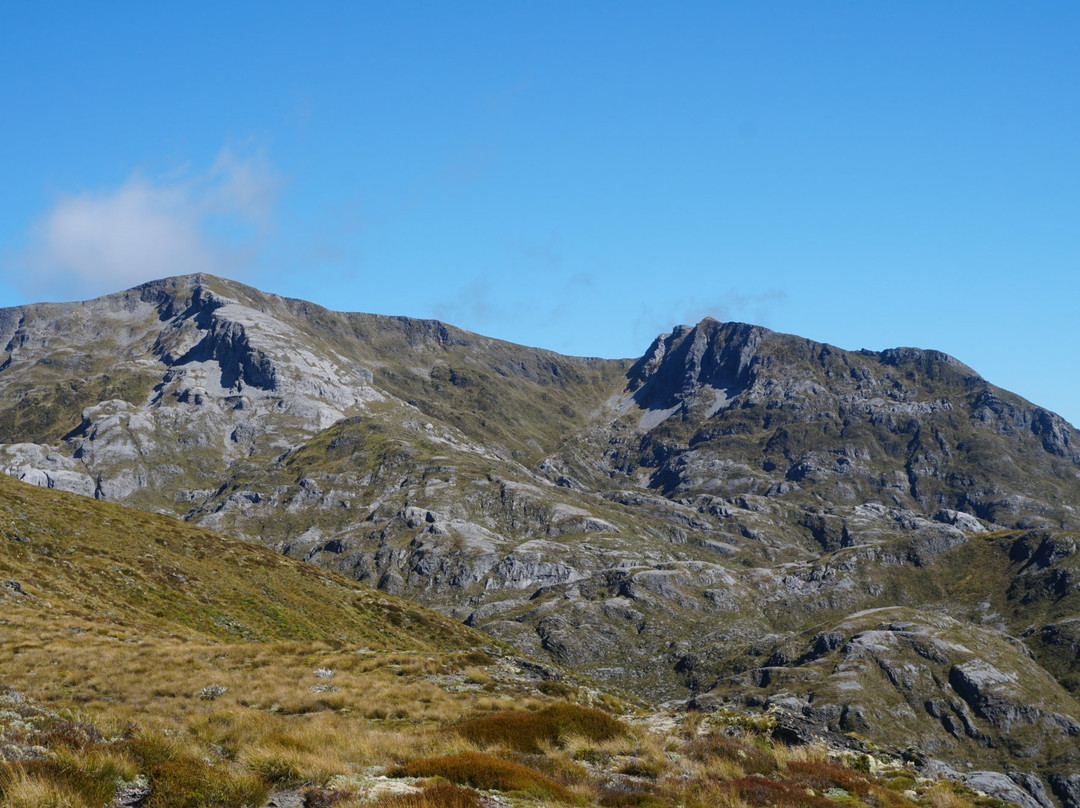 Flora Hut & Mount Arthur Hut tracks景点图片
