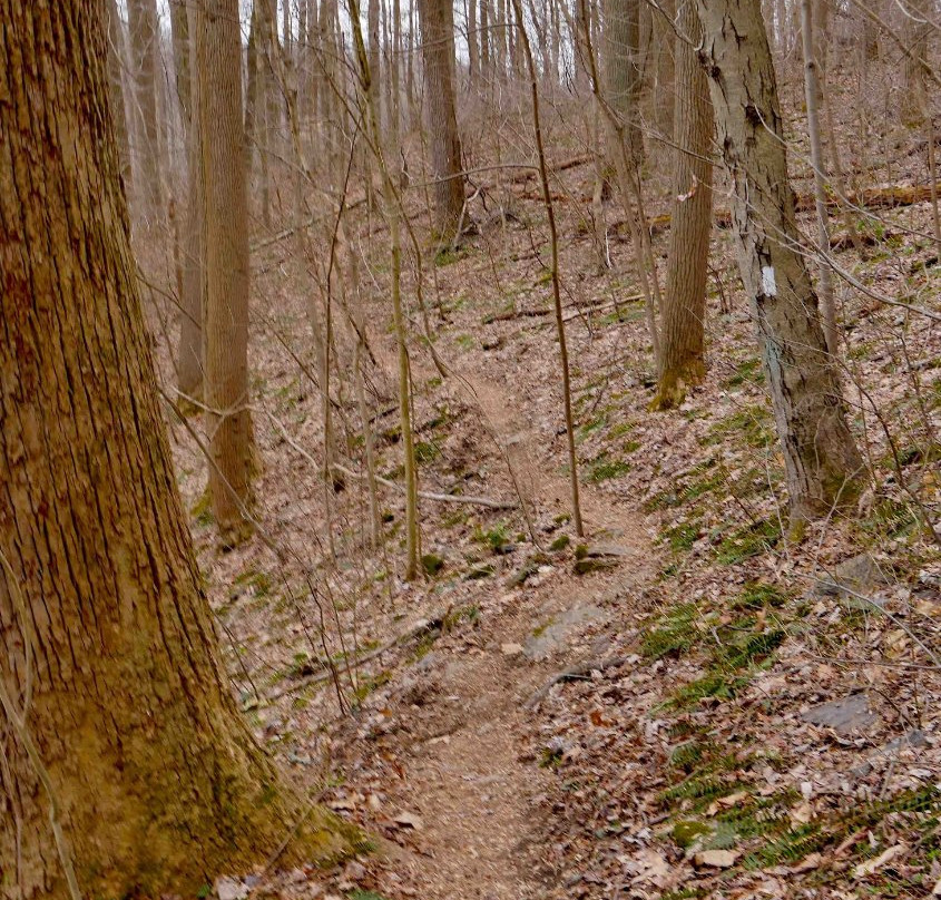 Tucquan Glen Nature Preserve景点图片