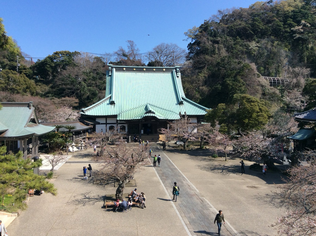 Komyo-ji Temple景点图片