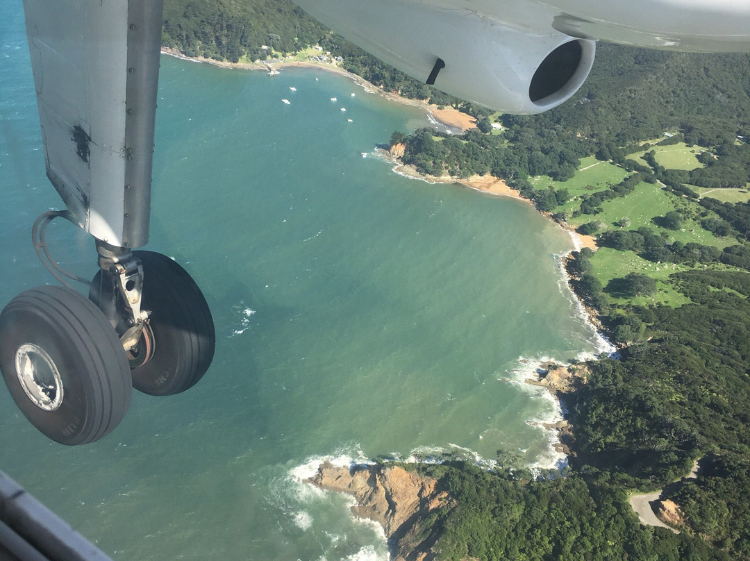 Go Great Barrier Island - Day Tours-Great Barrier Island必去景点