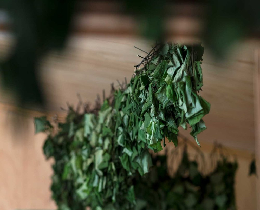 Phytofarm Herbal Learning Garden景点图片