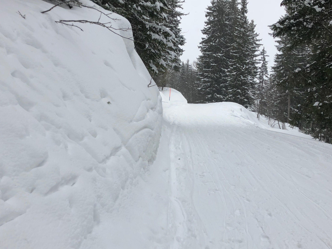 Piste de luge Savoleyres - La Tzoumaz景点图片