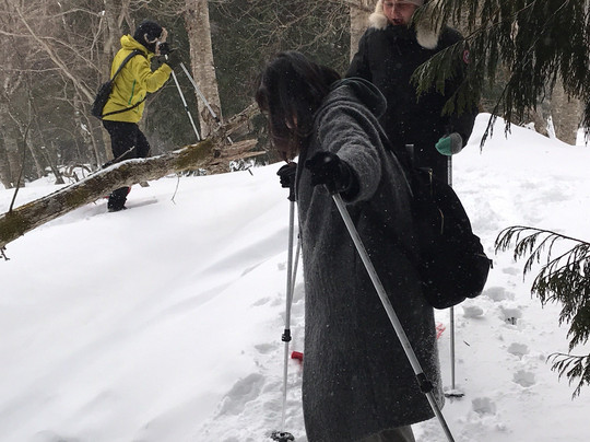 NAOC-日光市必去景点