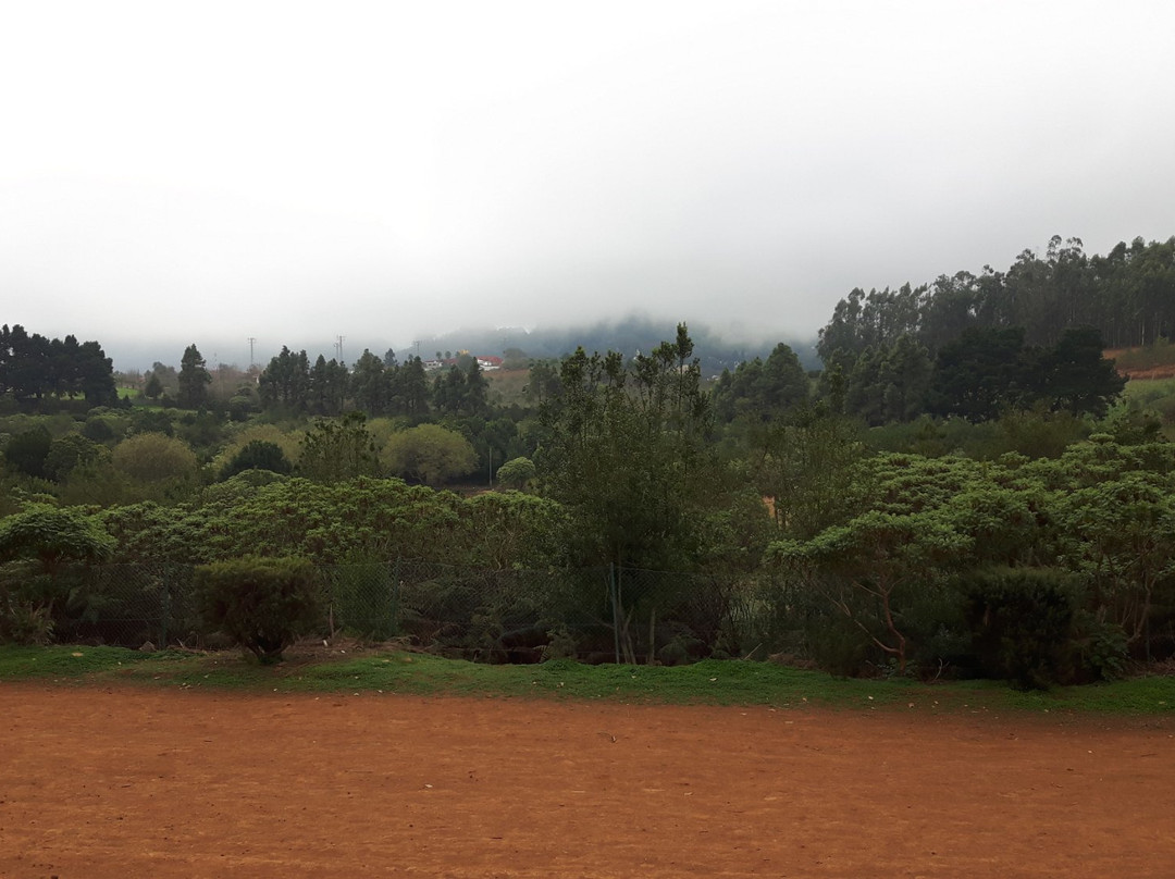 Area Recreativa de La Laguna-Valleseco必去景点