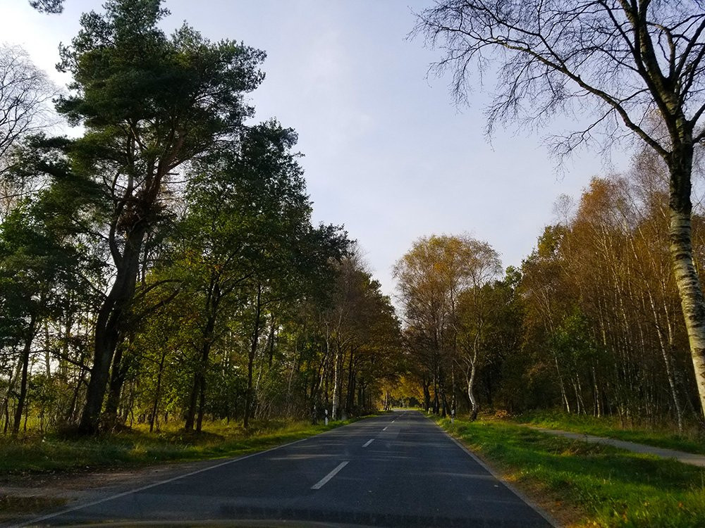 Studtmanns Gasthof主图