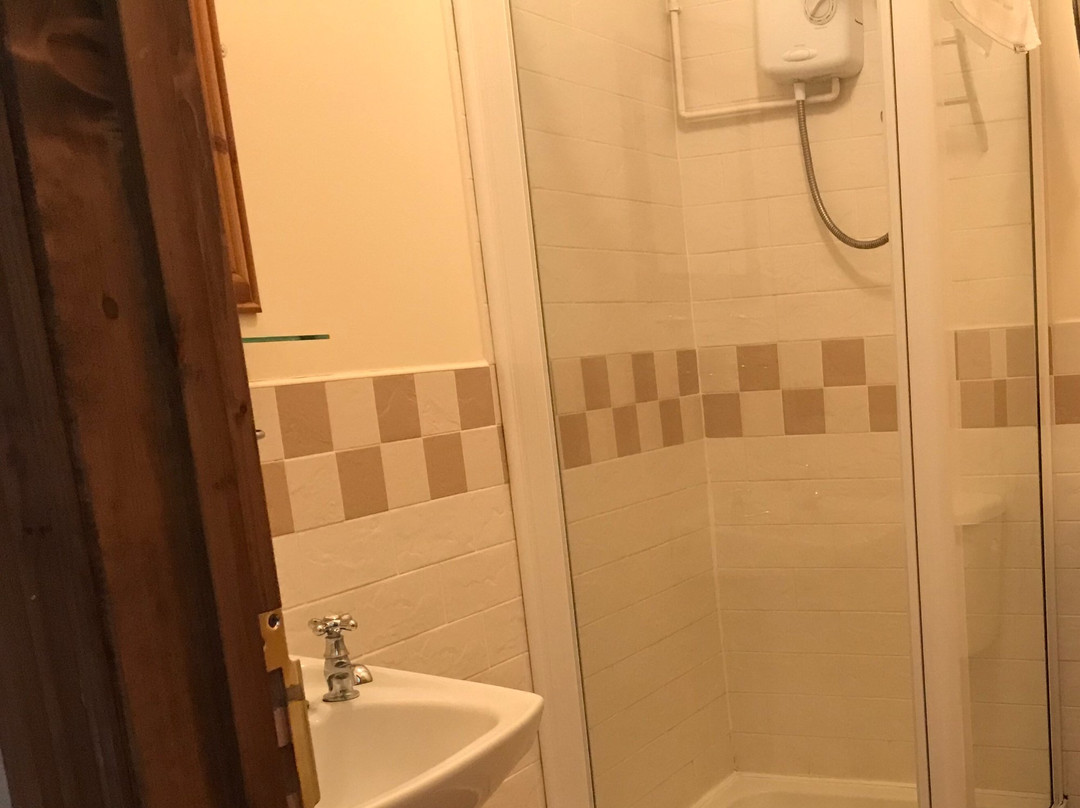 The Dillwyn Arms Hotel主图