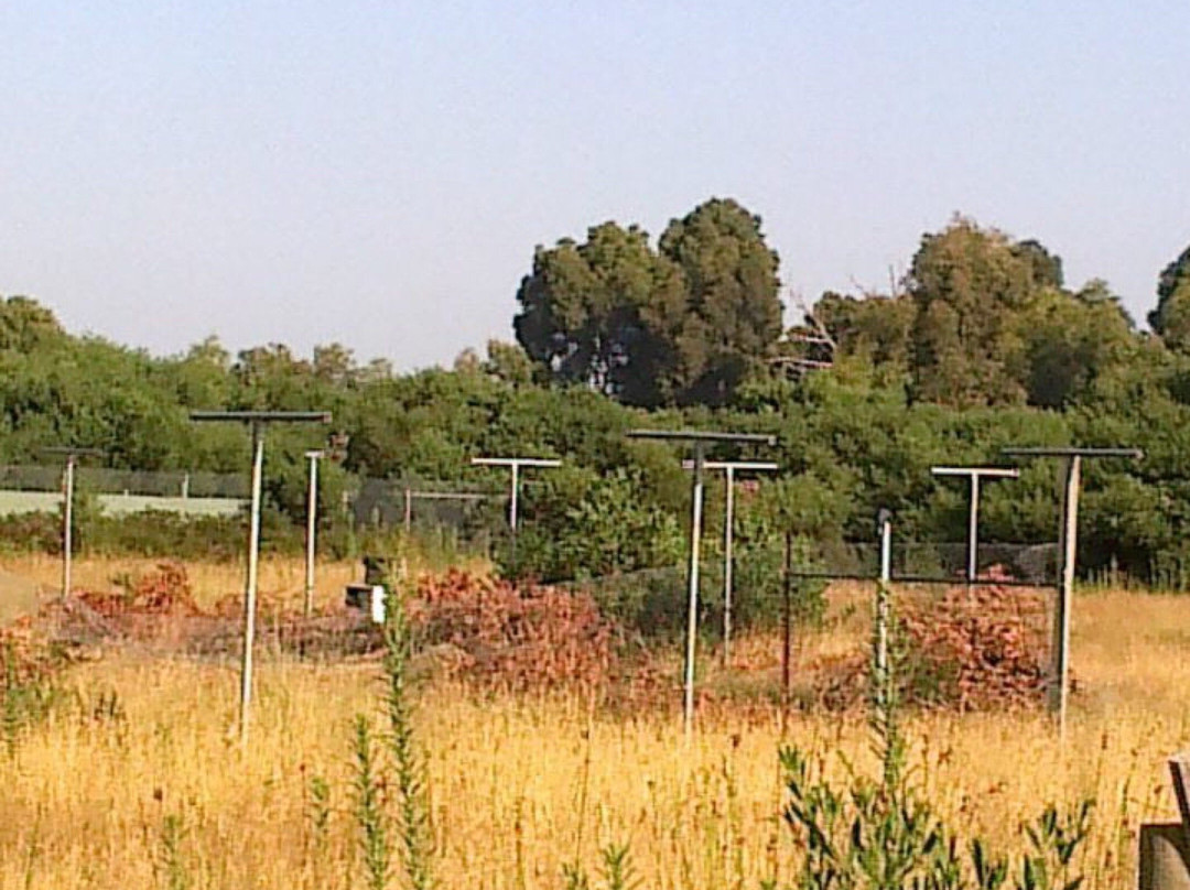 Pines Flora and Fauna Reserve景点图片