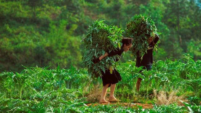 Tam Duong Market景点图片