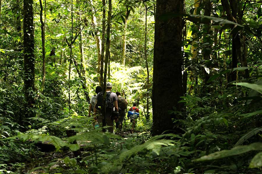 Amazon Experience Tours Leticia Amazonas-莱蒂西亚必去景点