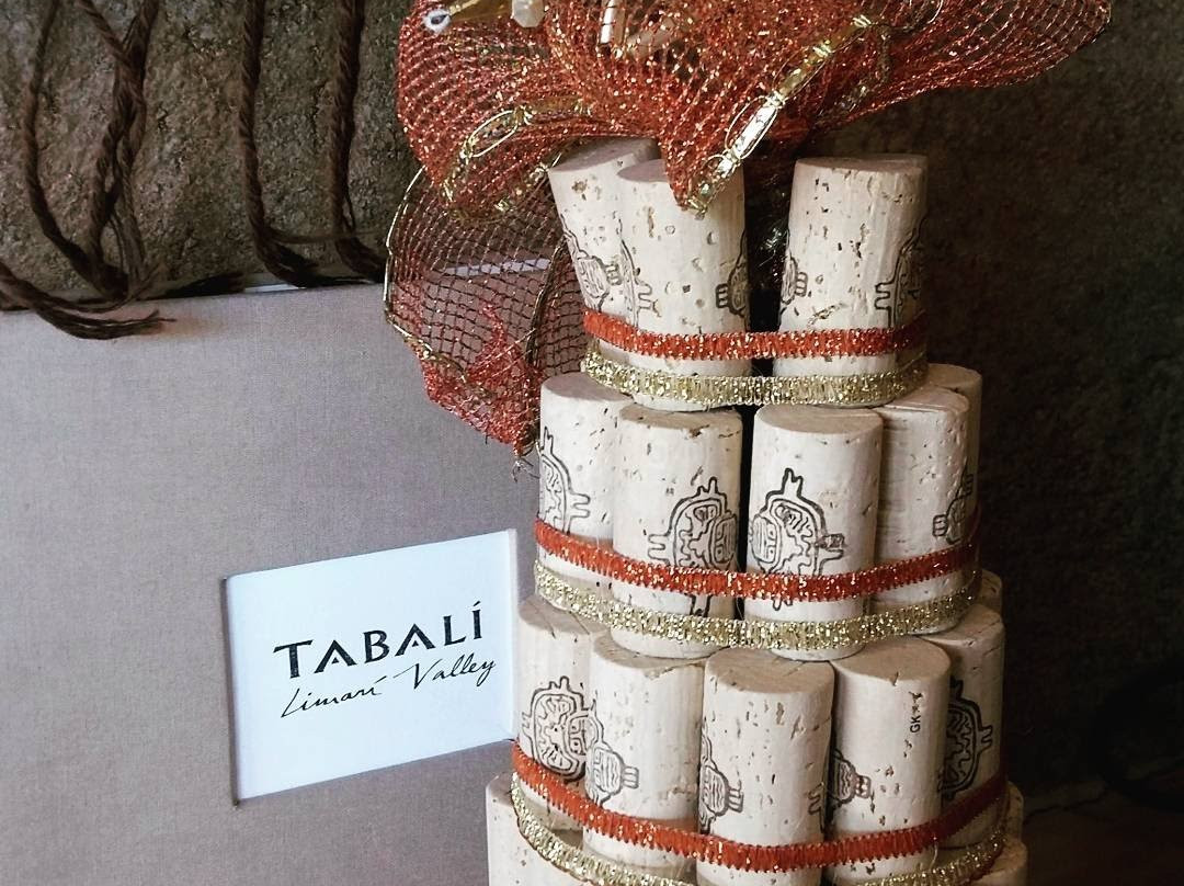 Vina Tabali-Ovalle必去景点