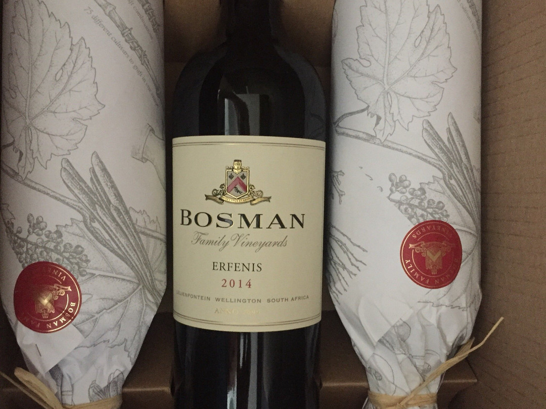 Bosman Hermanus | Frame House-赫曼努斯必去景点