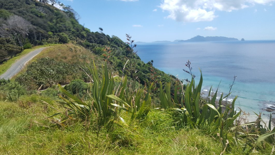 Mangawhai Beach景点图片