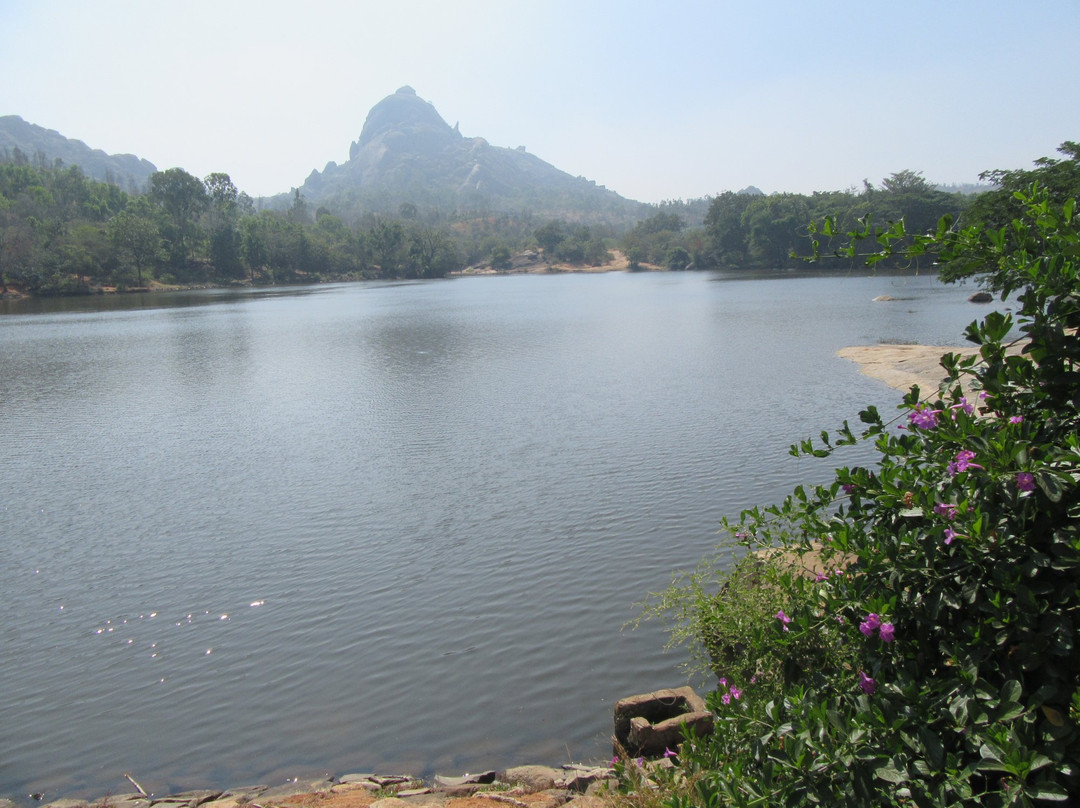 Chandravalli Caves景点图片