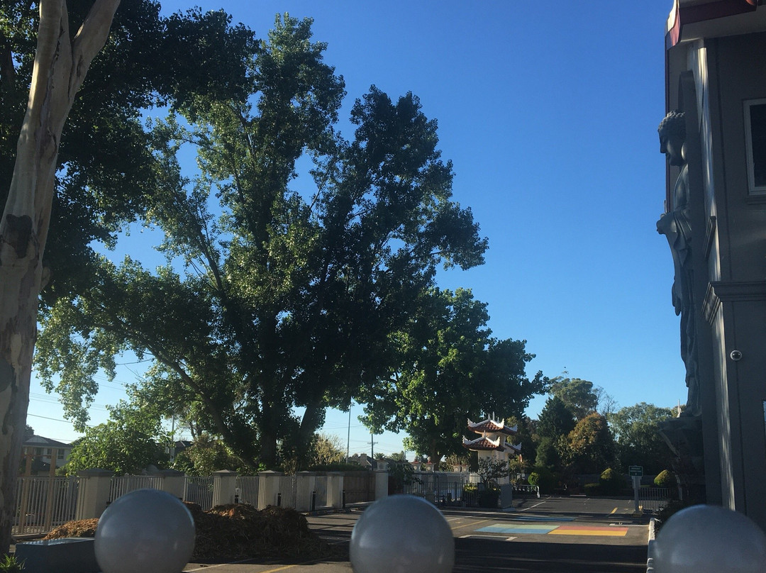 Hoa Nghiem Buddhist Temple-斯普林维尔必去景点