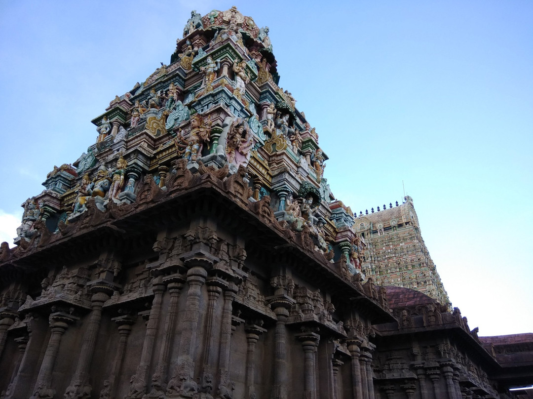 Sri Tenkasi Kasi Viswanathar Temple景点图片