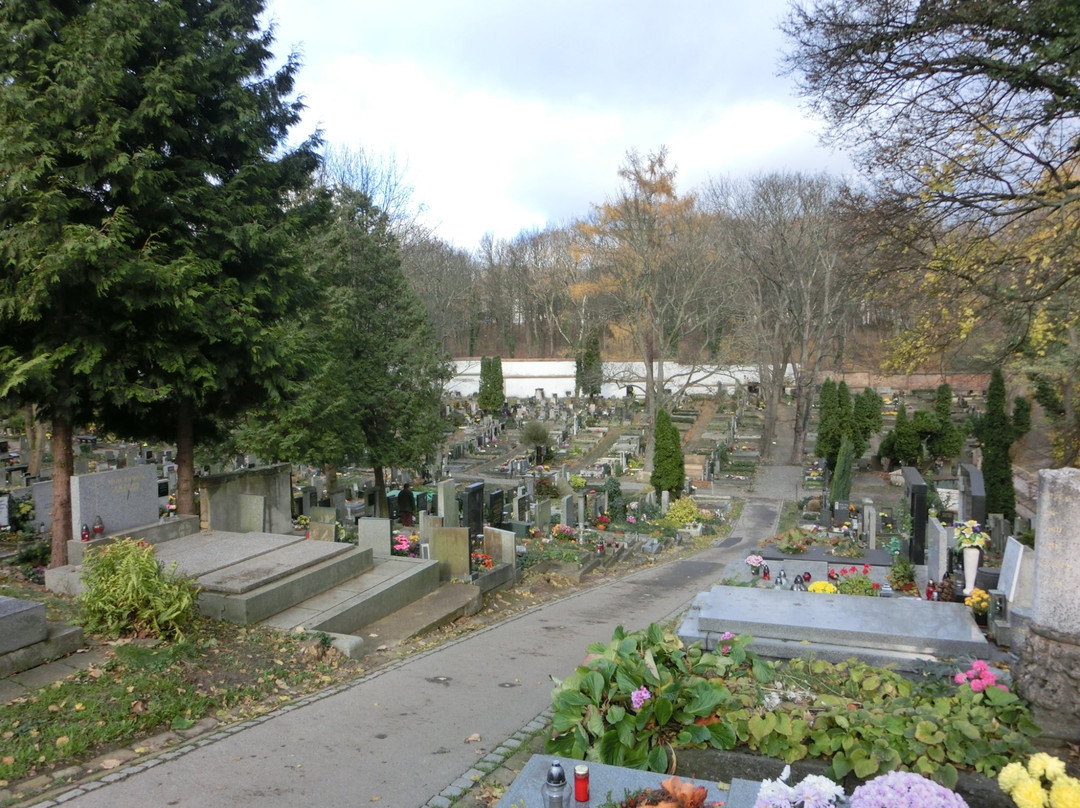 Brevnov Cemetery景点图片