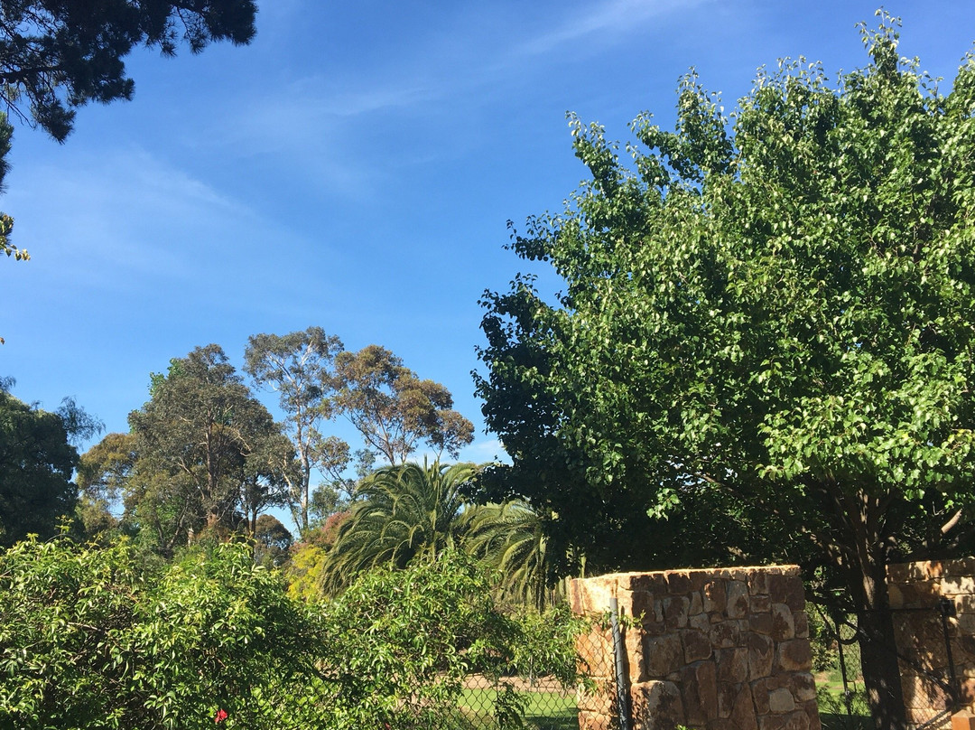 Dame Elisabeth Murdoch Arboretrum景点图片