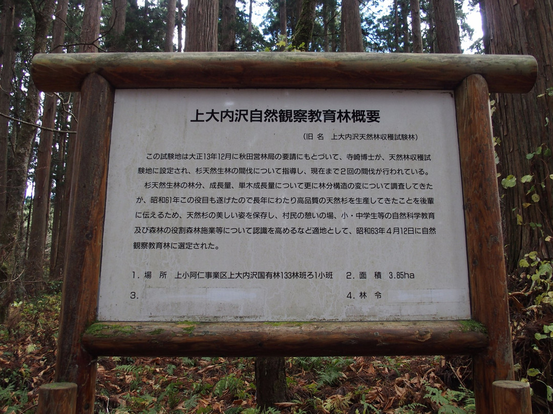 Kamiouchisawa Nature Observation Training Forest-上小阿仁村必去景点