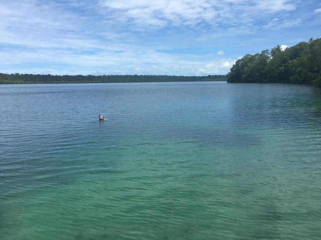 Pulau Kakaban旅游攻略图片